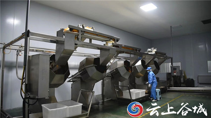 谷城石花鎮(zhèn) 以特色農(nóng)產(chǎn)品深加工為引擎，驅(qū)動農(nóng)業(yè)產(chǎn)業(yè)鏈優(yōu)化升級