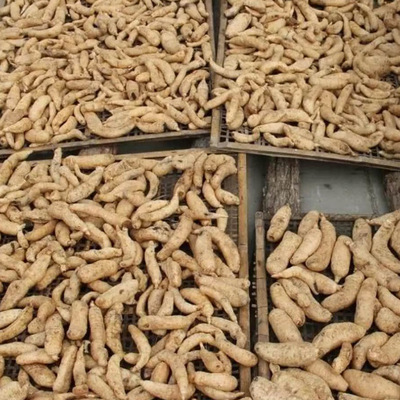 寧陜特產(chǎn)香菇干 從農(nóng)家餐桌到畜牧漁業(yè)的多重價(jià)值