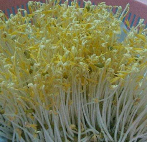 海南食品安全預(yù)警 11批次農(nóng)產(chǎn)品檢出農(nóng)獸藥殘留超標(biāo)